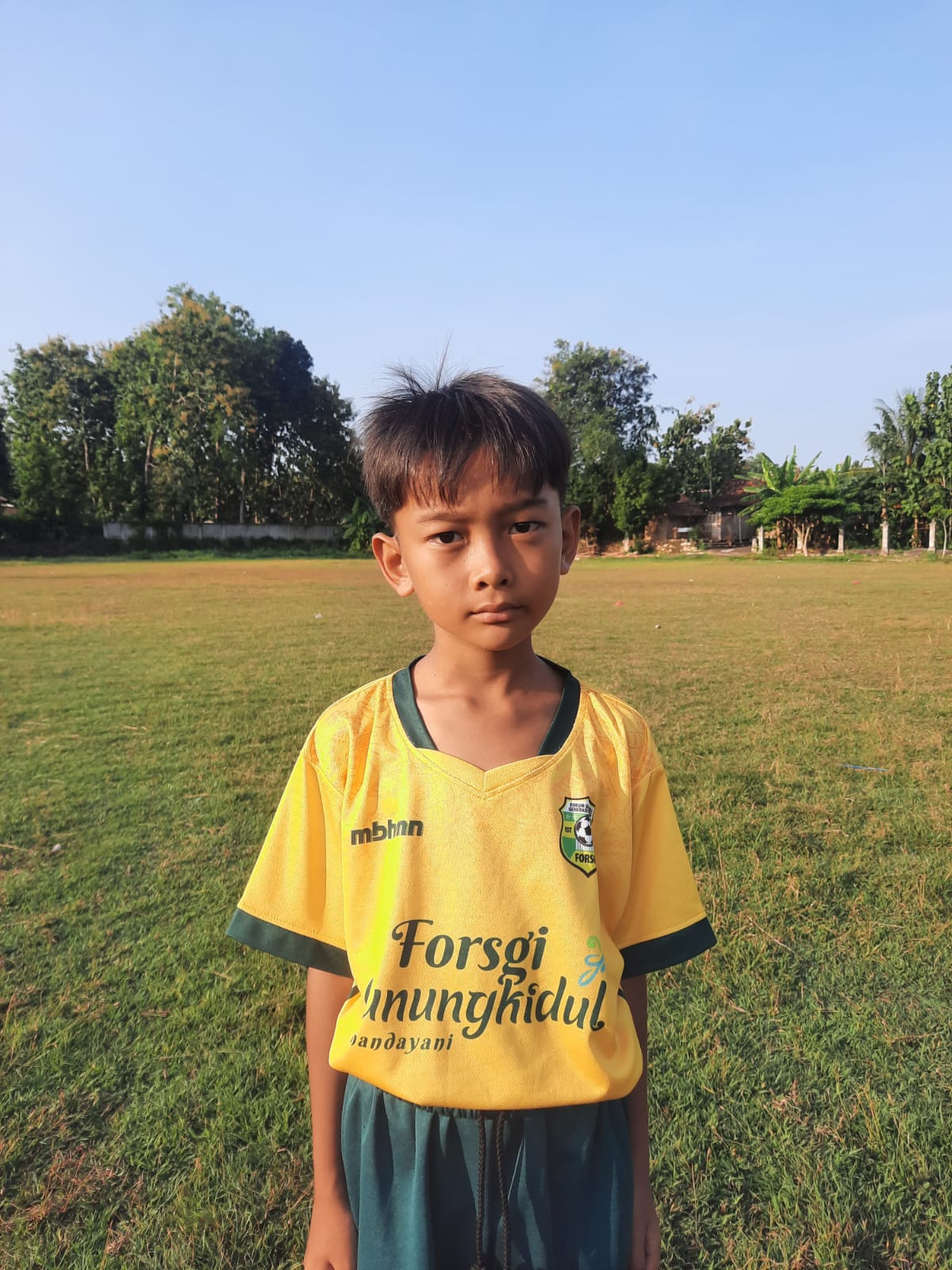 Davin amalul arifin